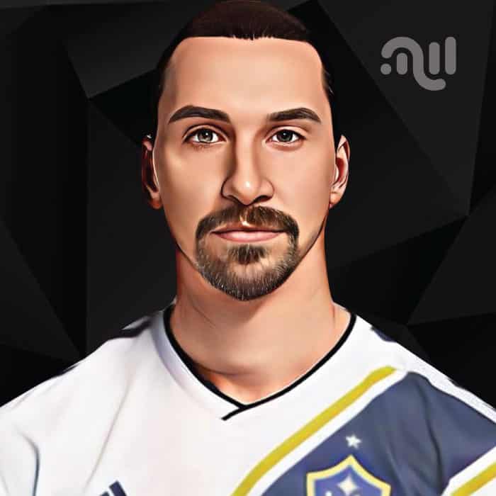 Zlatan Ibrahimović Net Worth (Updated 2023) • TheCelebWealth